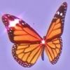 val_1431